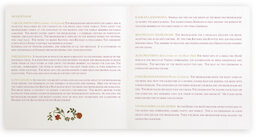 Photograph of Shadi (Square) Wedding Programs