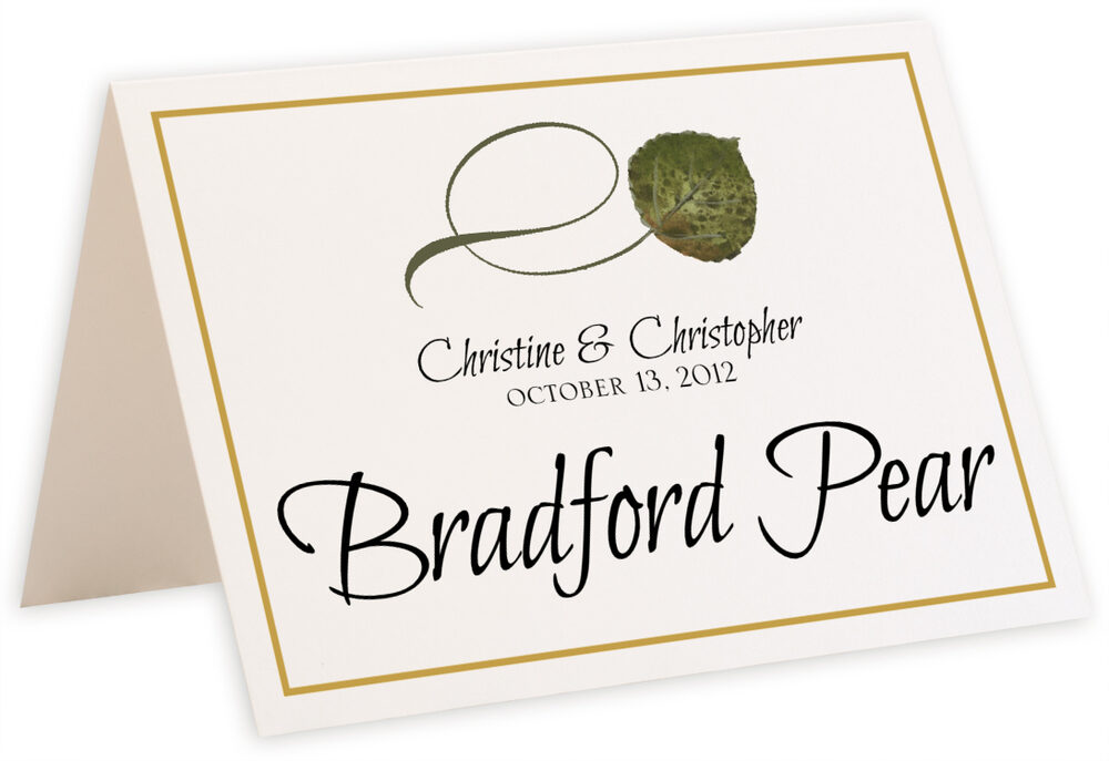 Photograph of Tented Twisty Leaves Table Names