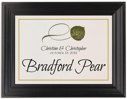 Framed Photograph of Twisty Leaves Table Names