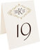 Photograph of Tented Carmine Tango Monogram Table Numbers