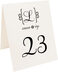 Photograph of Tented Feel Script Monogram Table Numbers