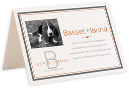 Photograph of Tented Simple Affair Photography Memorabilia Cards