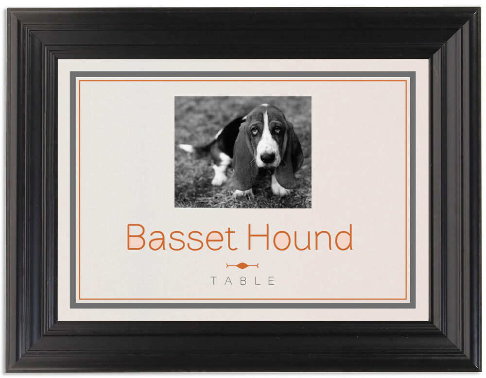 Framed Photograph of Simple Affair Photography Table Names
