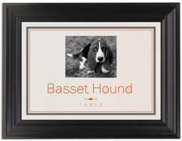 Framed Photograph of Simple Affair Photography Table Names