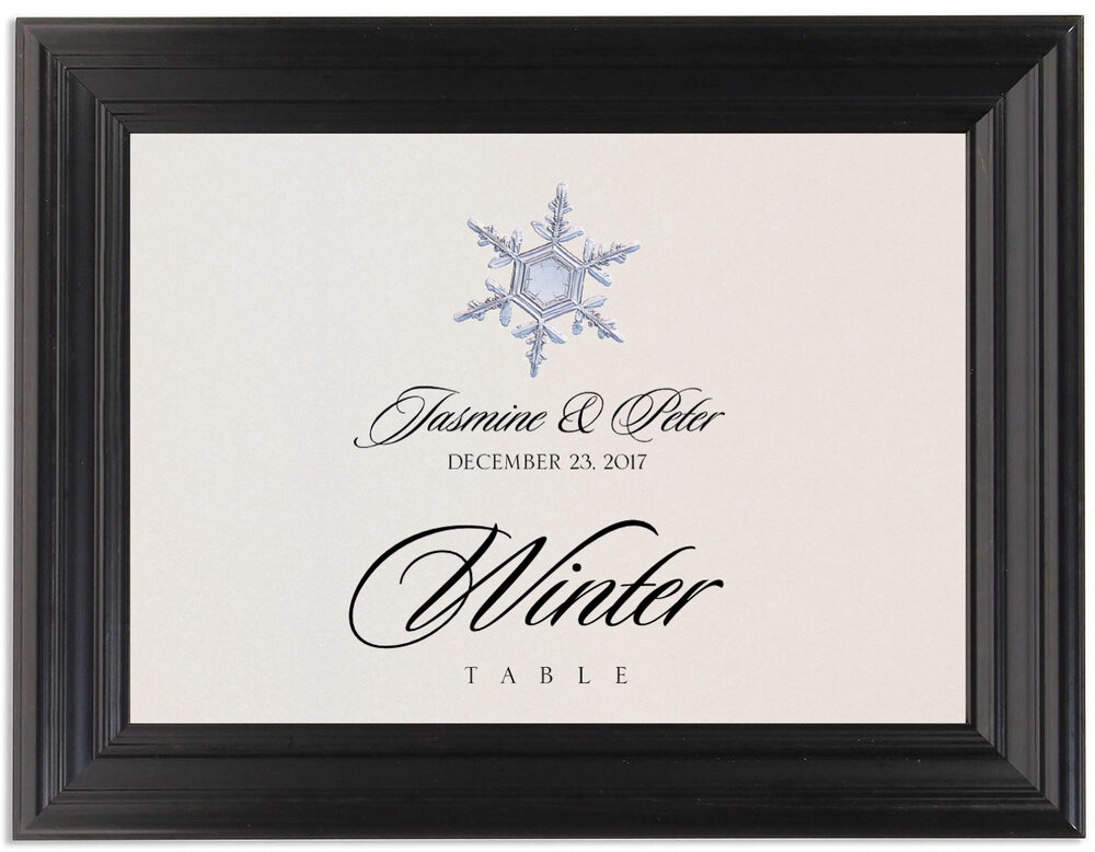 Framed Photograph of Snowflake Assortment Table Names