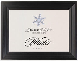 Framed Photograph of Snowflake Assortment Table Names