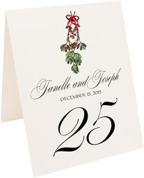 Photograph of Tented Mistletoe Bow Table Numbers