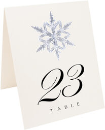 Photograph of Tented Snowflake 03 Table Numbers