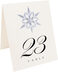 Photograph of Tented Snowflake 03 Table Numbers