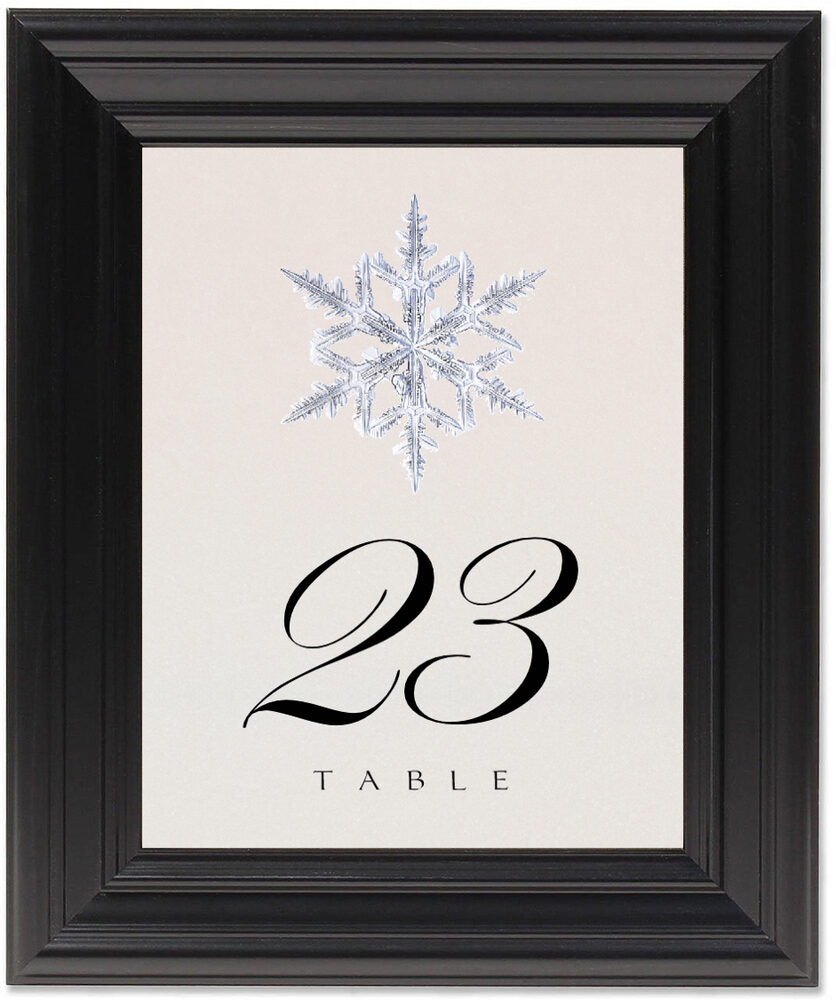 Framed Photograph of Snowflake 03 Table Numbers