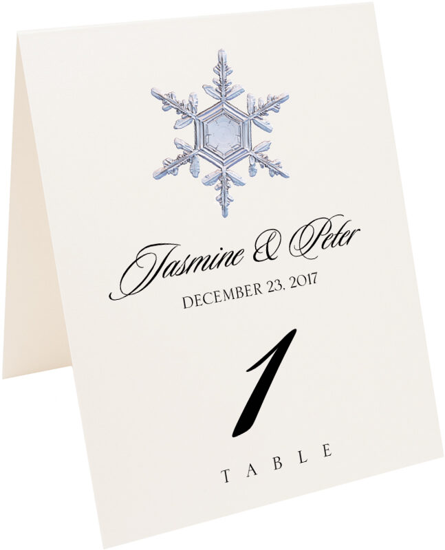 Photograph of Tented Snowflake Assortment Table Numbers
