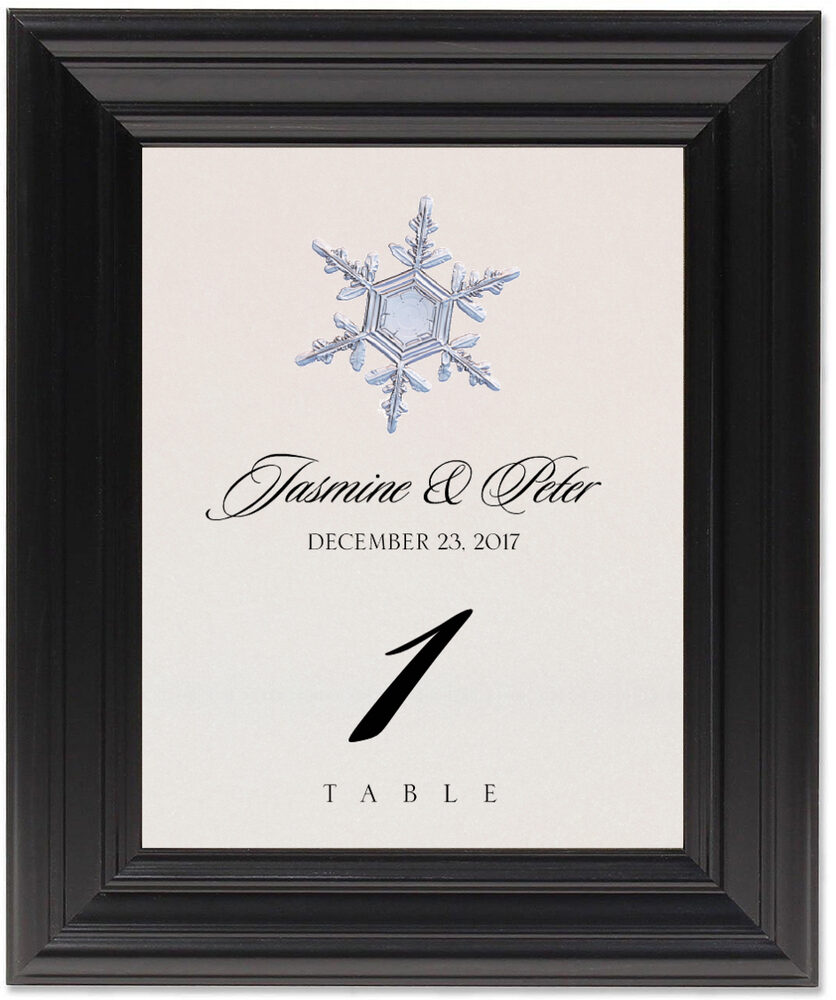 Framed Photograph of Snowflake Assortment Table Numbers