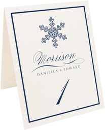 Photograph of Tented Snowflake Drawings Assortment Table Numbers