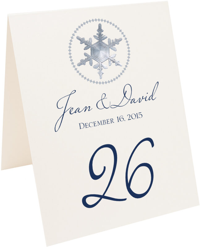 Photograph of Tented Snowflake Pattern 08 Table Numbers