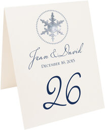 Photograph of Tented Snowflake Pattern 08 Table Numbers