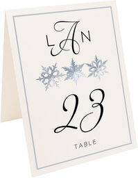 Photograph of Tented Snowflake Pattern Table Numbers