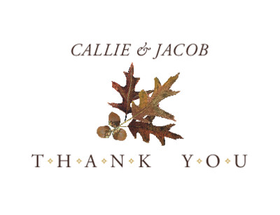 Oak and Acorn