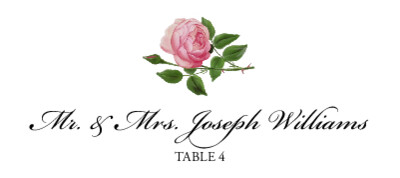 Pink Tea Rose