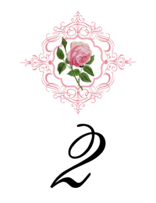 Pink Tea Rose
