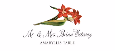 Amaryllis Place Cards