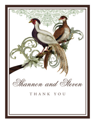 Asian Peace Birds