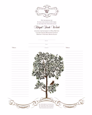 Owl In A Tree Certificate