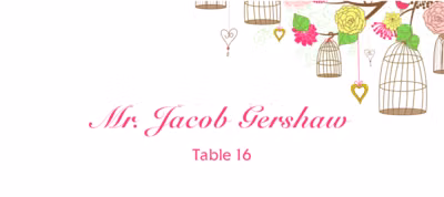 Bird Cages Place Cards