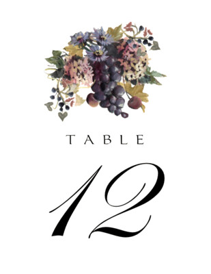 Blue Grapes and Chicory 01