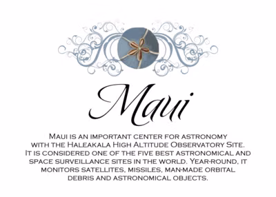 Blue Sand Dollar Memorabilia Cards