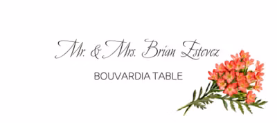 Bouvardia Place Cards