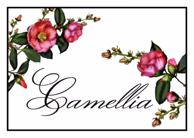 Camellia Table Names