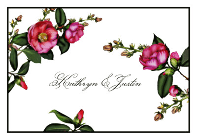 Camellia