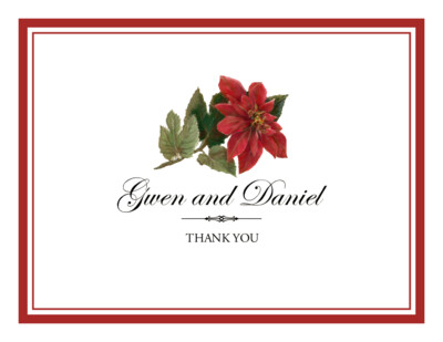 Poinsettia