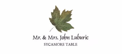 Sycamore Colorful Leaf Place Cards