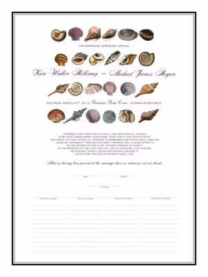 Seashell Collector Certificate