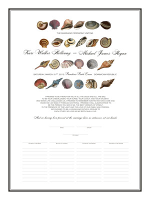 Seashell Collector