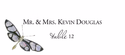 Dragonflies Place Cards