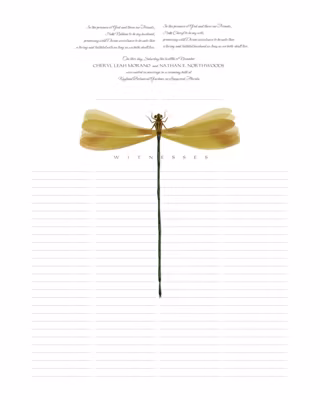 Dragonfly Wings Certificate