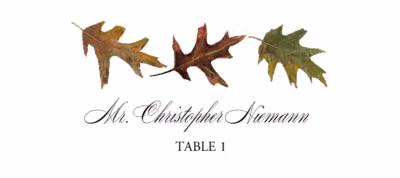 Leaf Pattern Assortment Place Cards