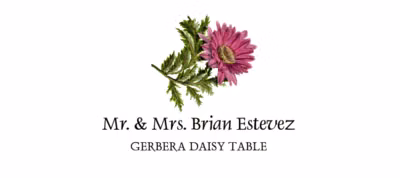 Gerbera Daisy Place Cards