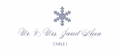 Snowflake Drawings Assortment Place Cards