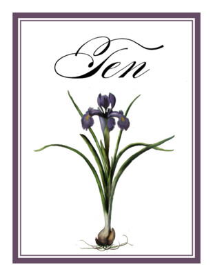 Iris Bulb