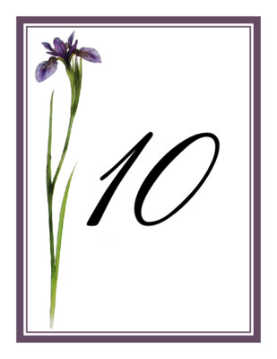 Wispy Iris