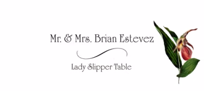Lady Slipper Place Cards