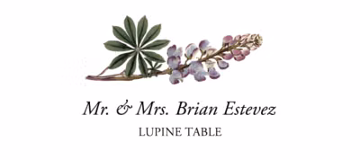 Lupine Place Cards