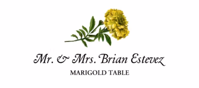 Marigold Place Cards