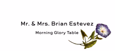Morning Glory Place Cards