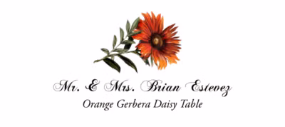 Orange Gerbera Daisy Place Cards