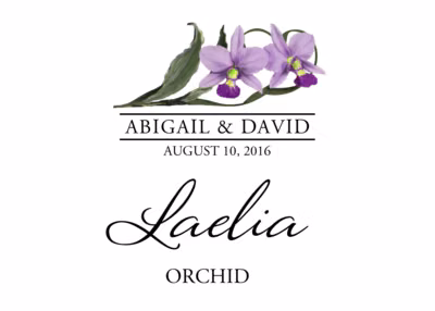 Orchid Assortment Table Names