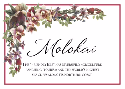 Orchid Cascade Memorabilia Cards